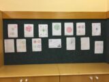 My Gallery (9/58)